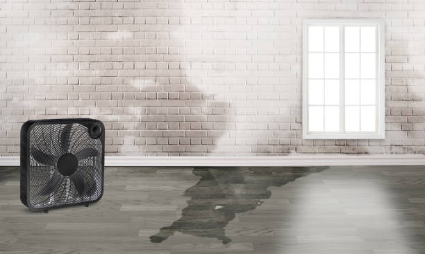 Best Water damage restoration insurance claims  in Pompano Beach, FL