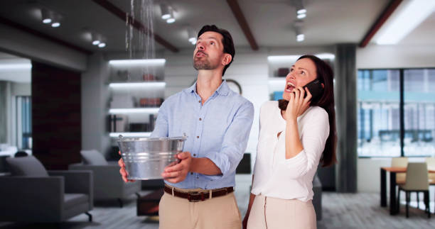 Best Water damage cleanup near me  in Pompano Beach, FL